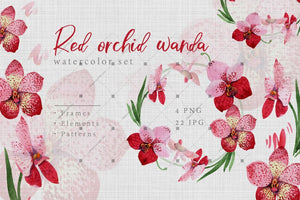 Watercolor Red Orchid Wanda Png Set Digital