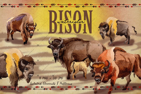 Exotic Bison Wild Animal Png Watercolor Set Digital