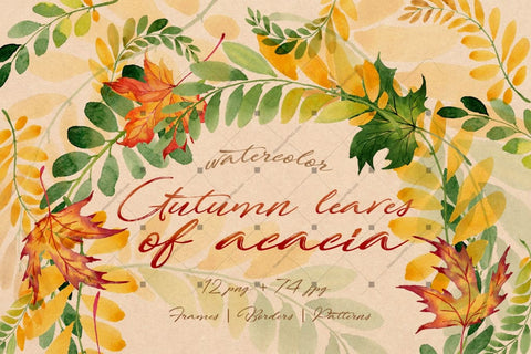 Autumn Leaves Of Acacia Png Watercolor Set Digital