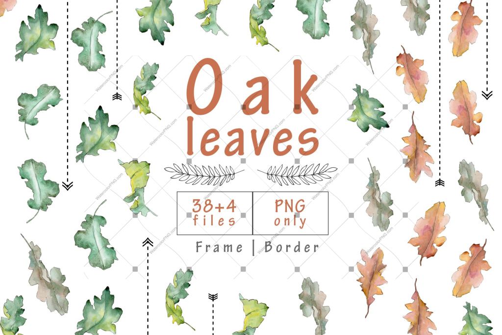 Oak Leaves Png Watercolor Set Digital