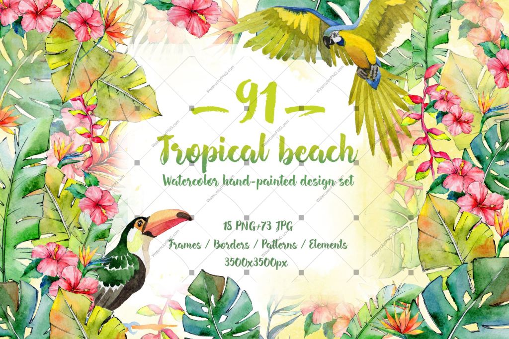 Tropical Beach Png Watercolor Set Digital