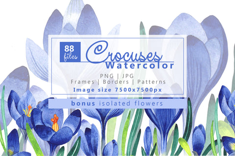 Light blue crocuses PNG watercolor