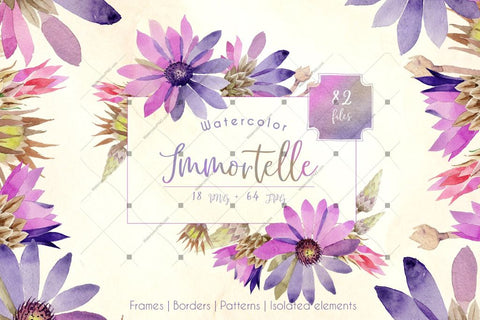 Purple Immortelle Png Watercolor Set Digital