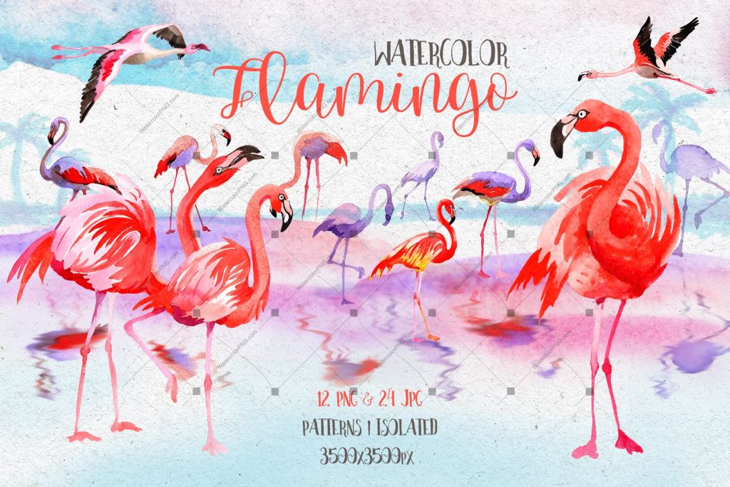 Watercolor Pink Flamingo Png Set Digital