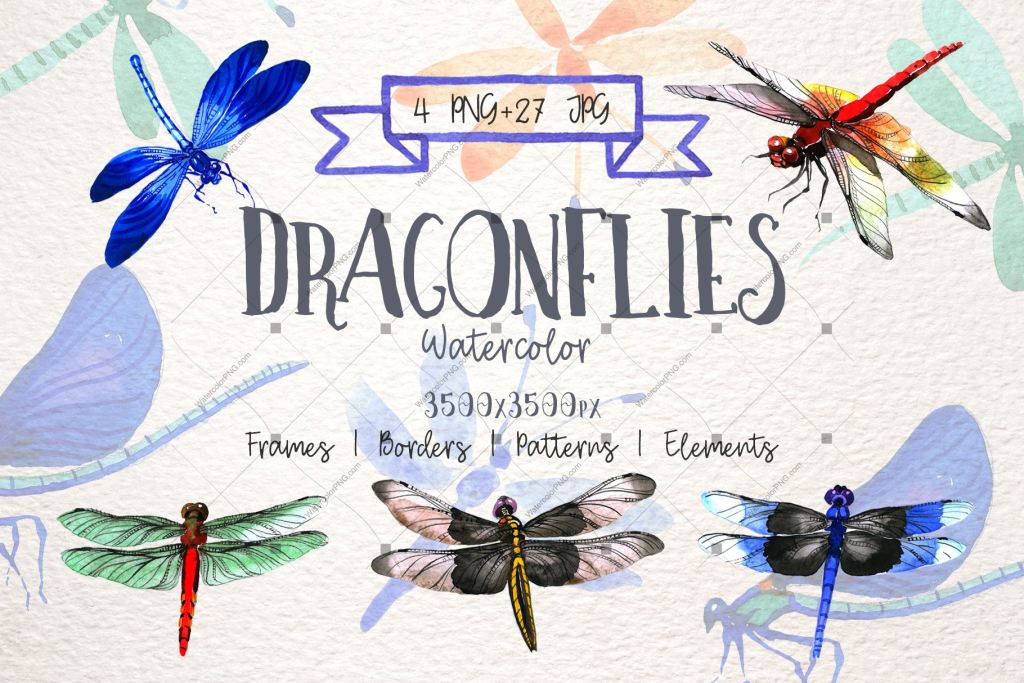 Insect Dragonfly Png Watercolor Set Digital