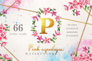 Pink aquilegia flower Watercolor png