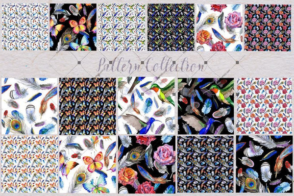 Feather Collection Png Watercolor Set Digital