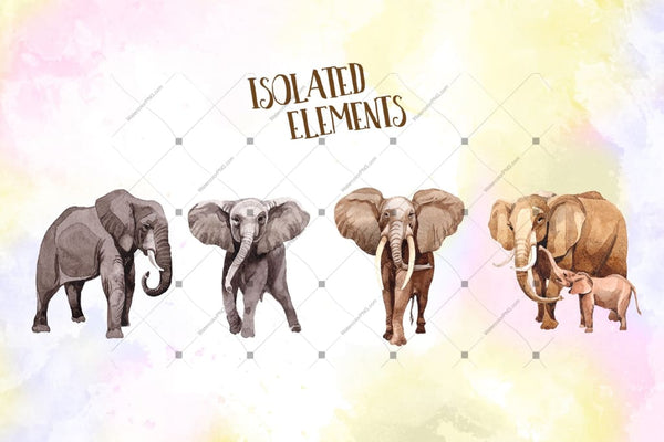 Animal Life Elephants Png Watercolor Set Digital