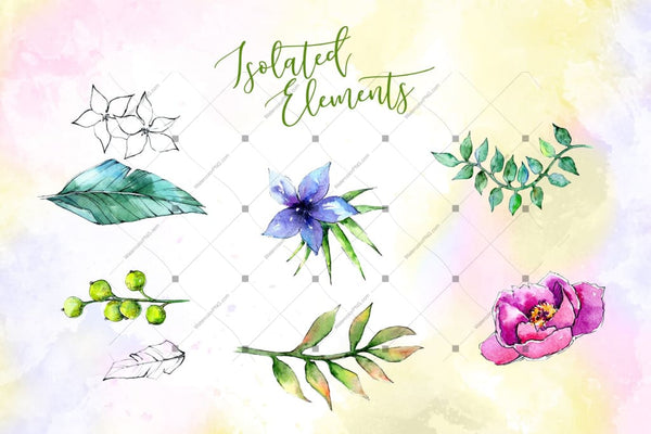 Wonderful Tropical Plant Png Watercolor Set Digital