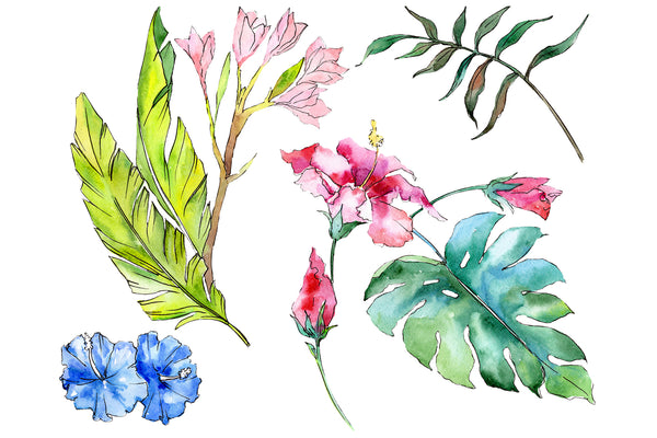 Tropical plants Watercolor png
