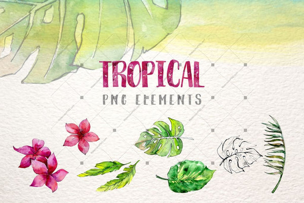 Tropical Leaves Collection Png Watercolor Set Digital