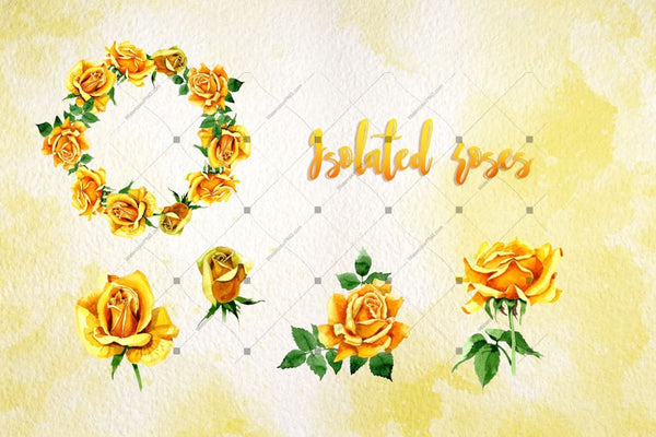 Yellow Roses Png Watercolor Set Digital