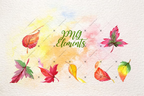 Cool Autumn Leaves Png Watercolor Set Digital