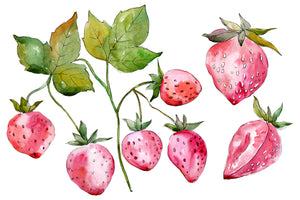 Strawberry red Watercolor png