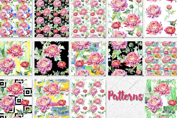 Tender Pink Chrysanthemum Png Watercolor Set Digital