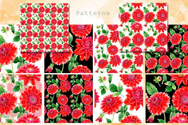 Beautiful red dahlia PNG watercolor set