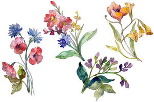 Wildflowers the beauty Watercolor png