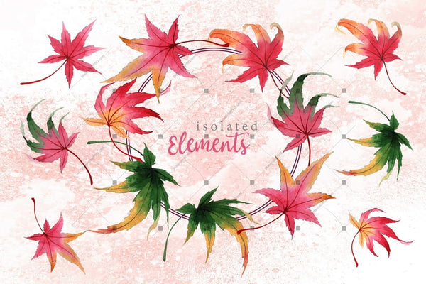 Autumn Maple Leaves Png Watercolor Set Digital