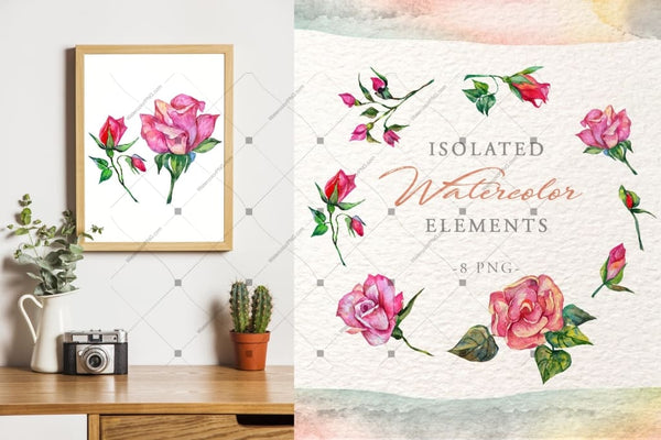 Wonderful Pink Roses Png Watercolor Set Digital