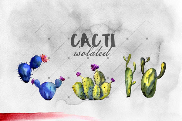 Cacti Watercolor Png Set Digital