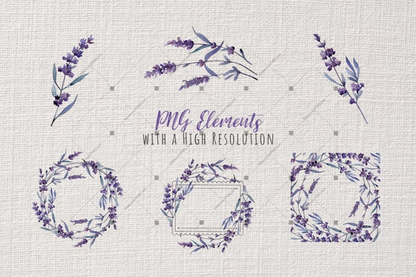 Wonderful Violet Lavender Png Watercolor Set Digital