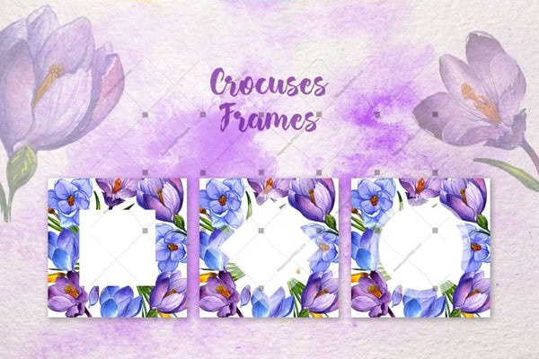 Blue And Purple Crocuses Png Watercolor Set Digital