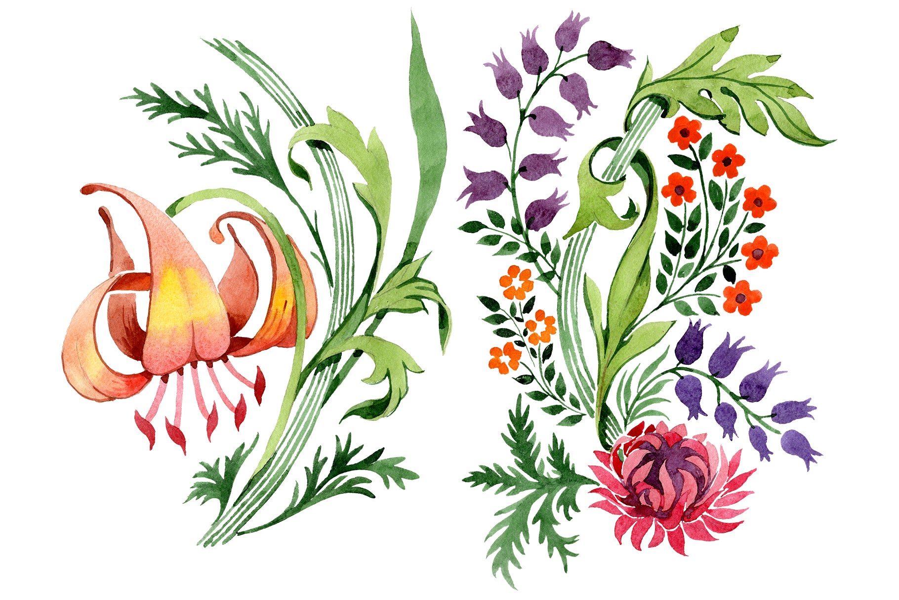 Floral ornament sunny watercolor png