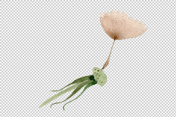 Dandelion Watercolor png Flower
