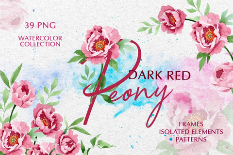 Dark red peony Watercolor png Digital