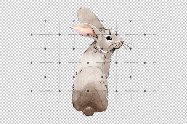 Easter bunny Watercolor png Flower