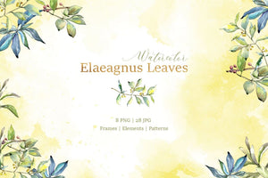 Elaeagnus leaves Watercolor png Flower