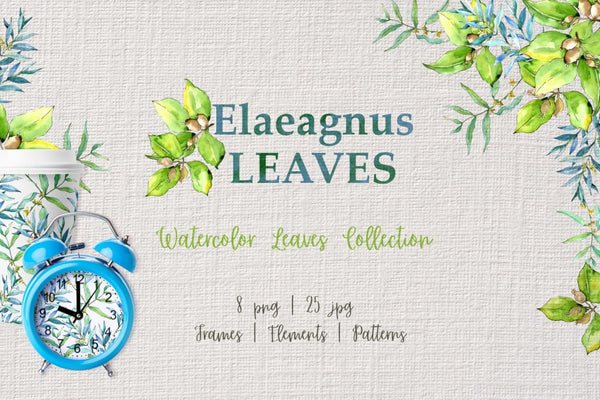 Elaeagnus leaves Watercolor png Digital