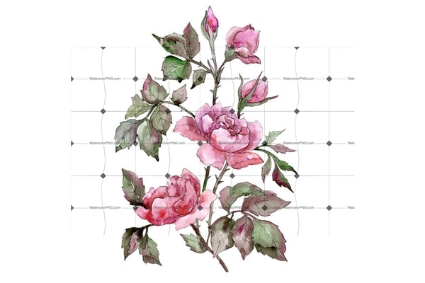 Elegant Bouquet Of Pink Rose Png Watercolor Set Flower