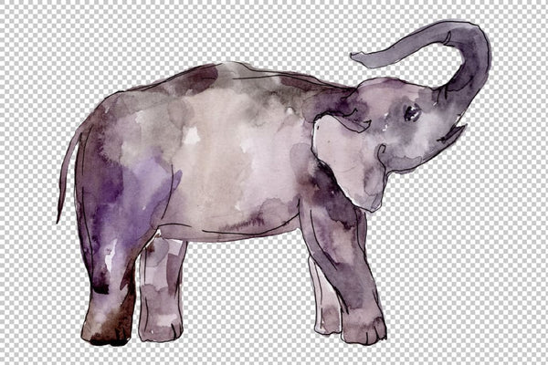 Elephant Watercolor png Flower