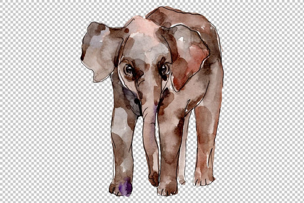 Elephant Watercolor png Flower