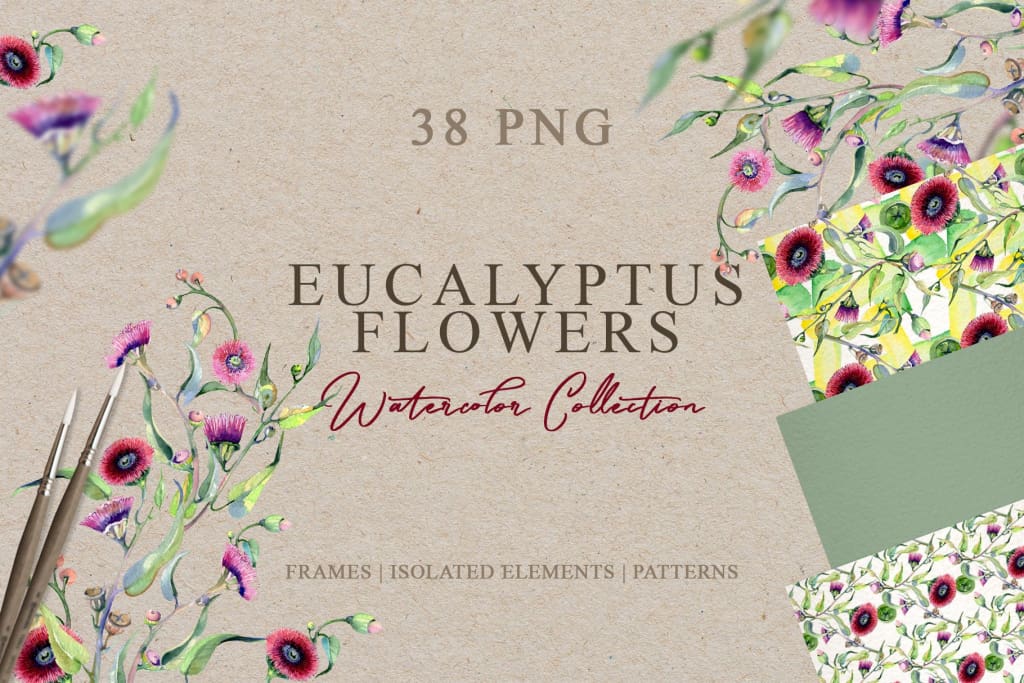Eucalyptus flowers Watercolor png Digital