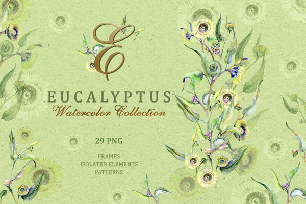Eucalyptus Watercolor png Flower