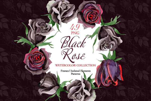 Exclusive black rose watercolor png Digital