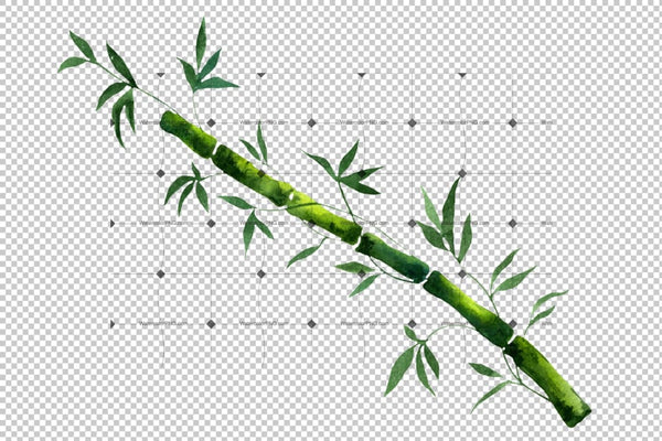 Exotic Bamboo Png Watercolor Set Digital