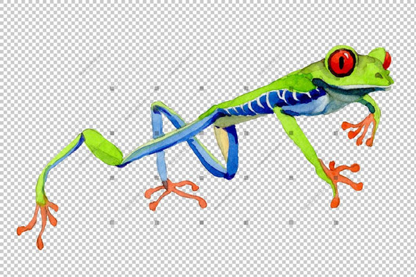 Exotic Frog Red-Eyed Png Watercolor Set Digital
