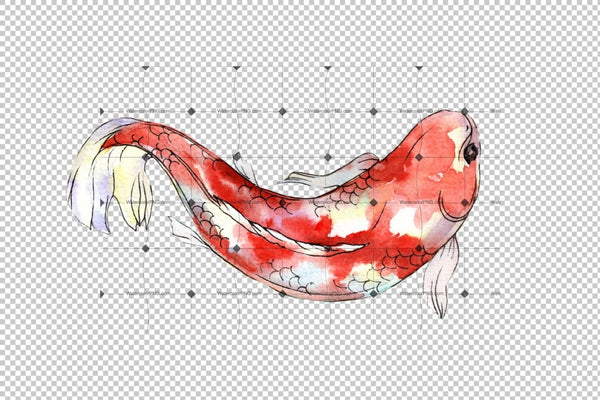 Fairy Goldfish Watercolor Png