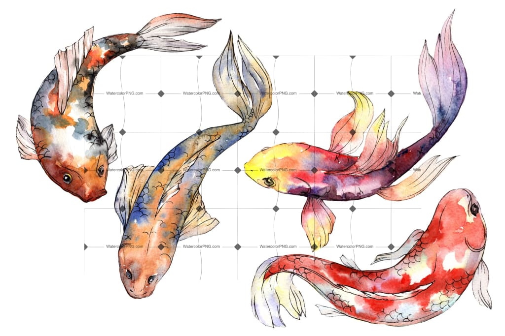 Fairy Goldfish Watercolor Png