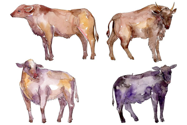Farm animals: bull Watercolor png Flower