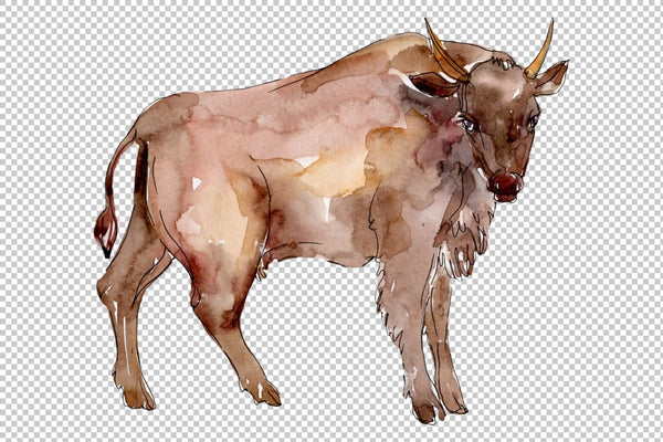 Farm animals: bull Watercolor png Flower