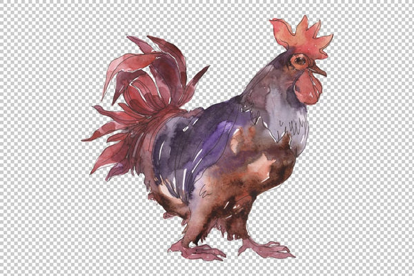 Farm animals: cock Watercolor png Flower
