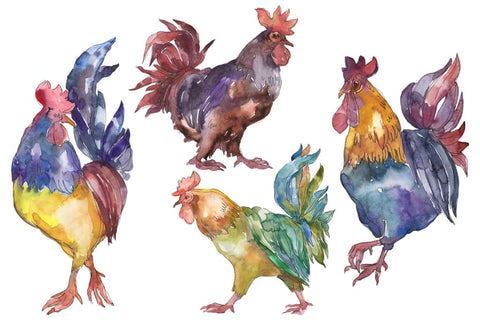 Farm animals: cock Watercolor png Flower