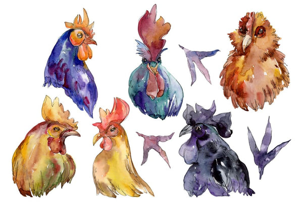 Farm animals: cock/hen head Watercolor png Flower