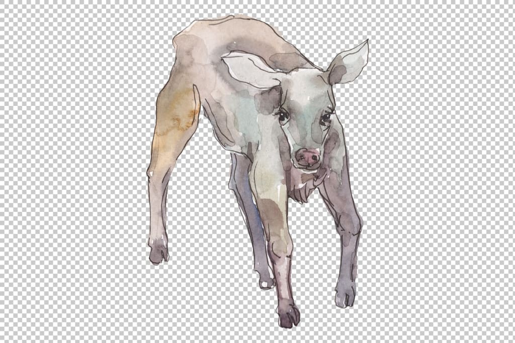 Farm animals: cow calf Watercolor png – WatercolorPNG