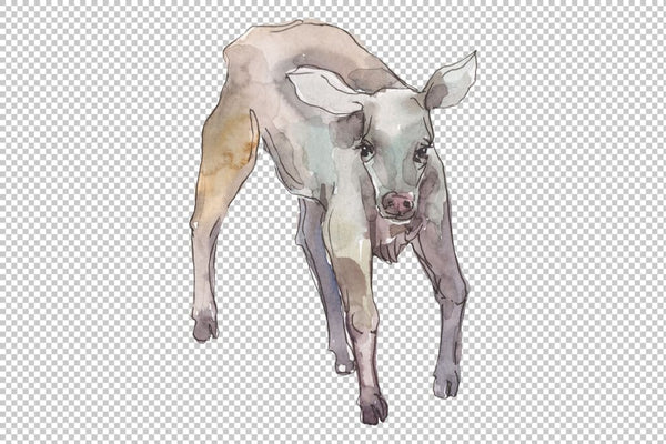 Farm animals: cow calf Watercolor png Flower