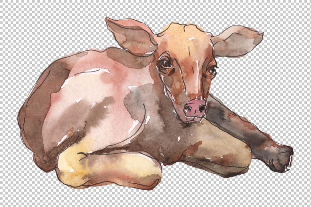 Farm animals: cow calf Watercolor png – WatercolorPNG